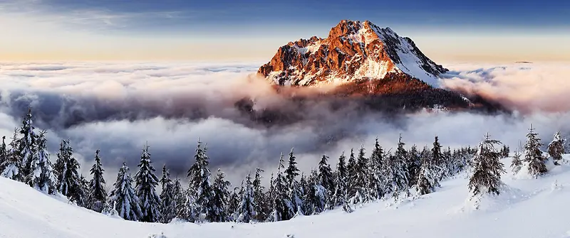 白雪青松大山的海报背景