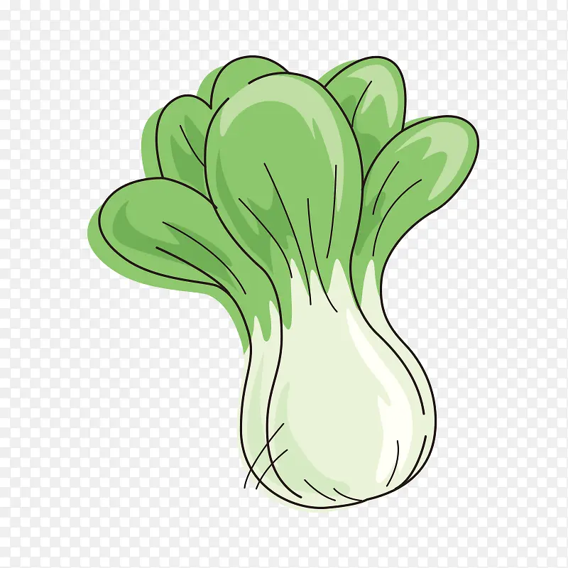 白菜 蔬菜