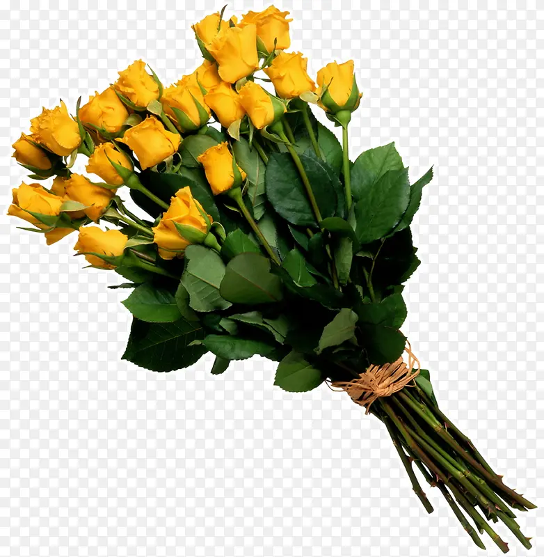 黄色玫瑰花鲜花包装