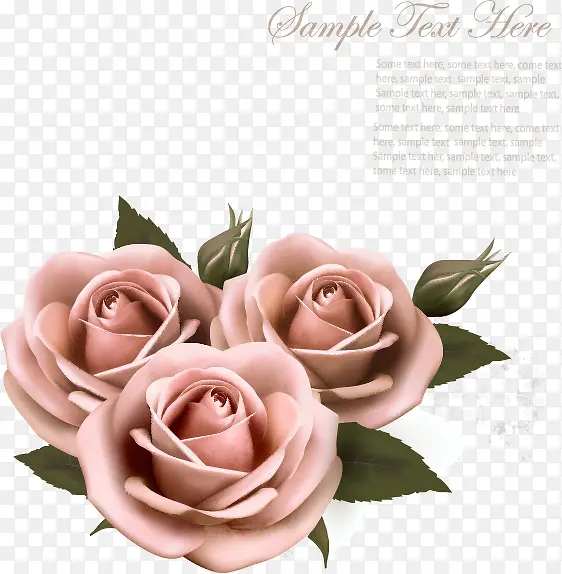 玫瑰花朵粉色中国风