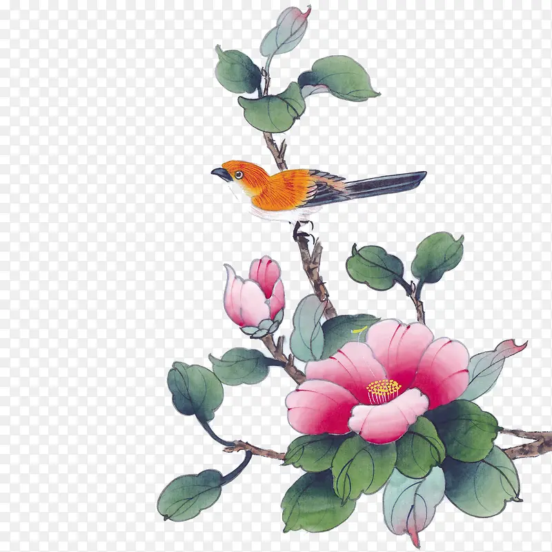 花鸟图