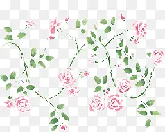 花藤