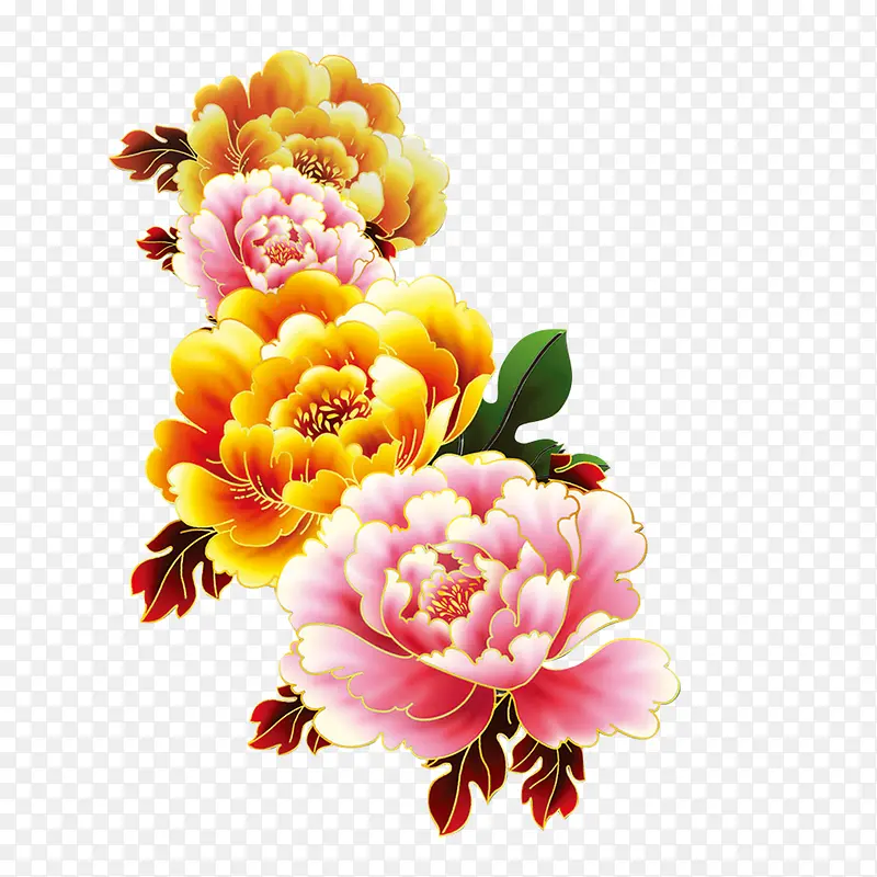牡丹花 中国风 花朵