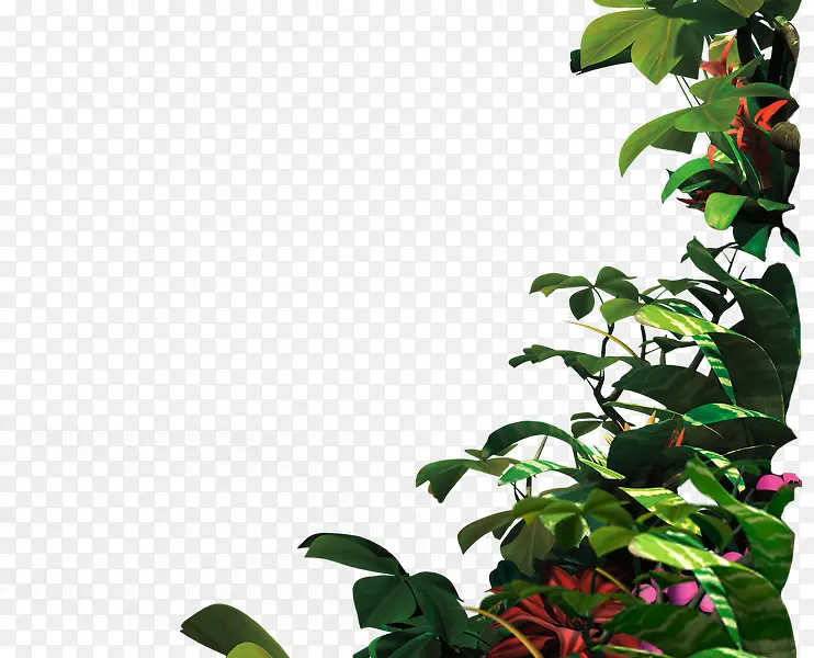 创意摄影绿色的藤蔓植物