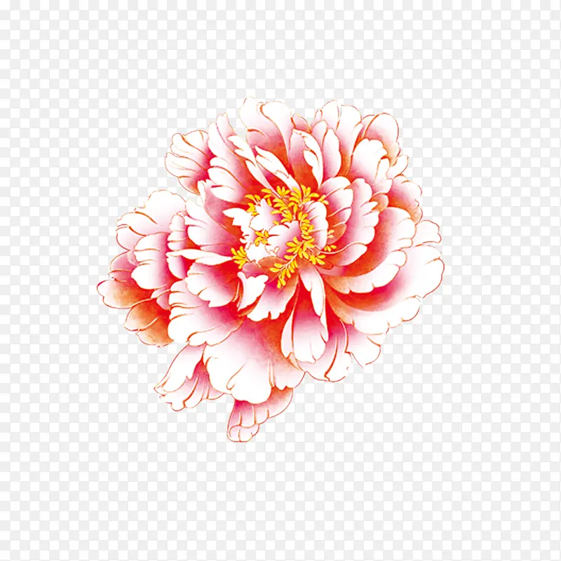 牡丹花 中国风 花朵