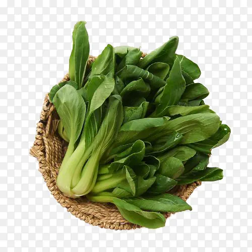 好吃的小油菜