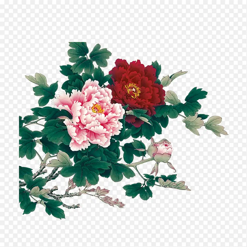 牡丹花中国风手绘花朵