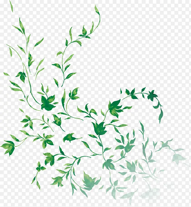 春天绿色手绘藤蔓植物装饰