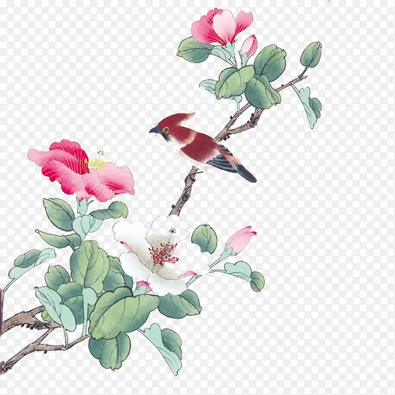 花鸟图