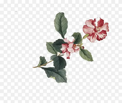 手绘红色花朵中国风元素