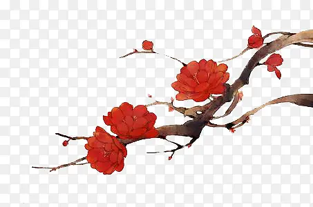 红色花朵花枝中国风