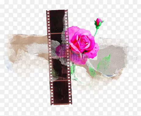 胶卷与花
