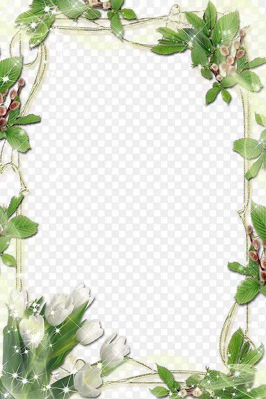 植物