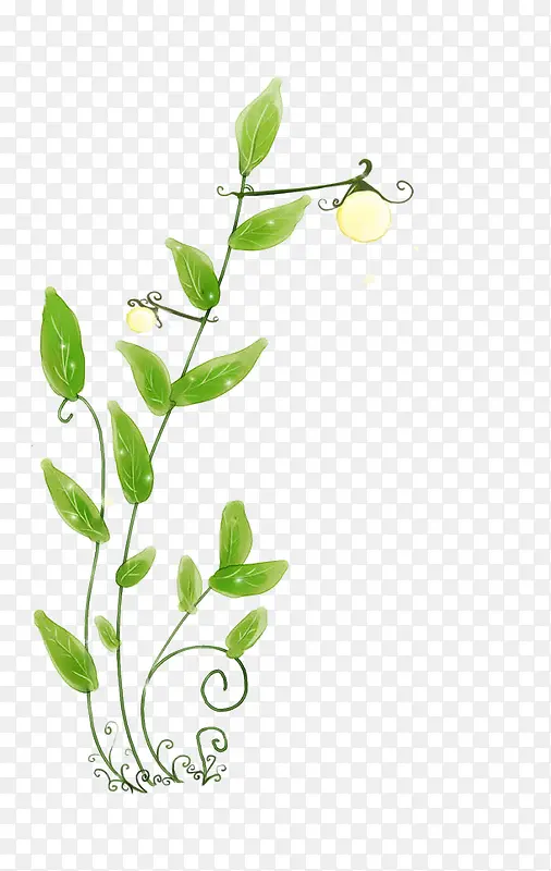 手绘植物