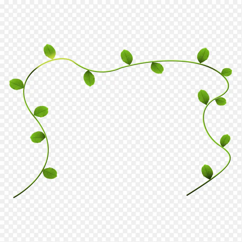 绿叶条藤蔓装饰图案