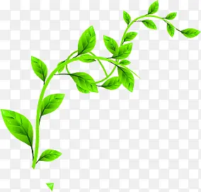 手绘高清卡通藤蔓绿色植物