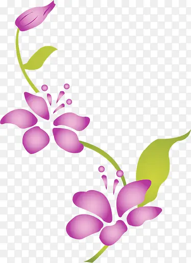 春天紫色花朵藤蔓