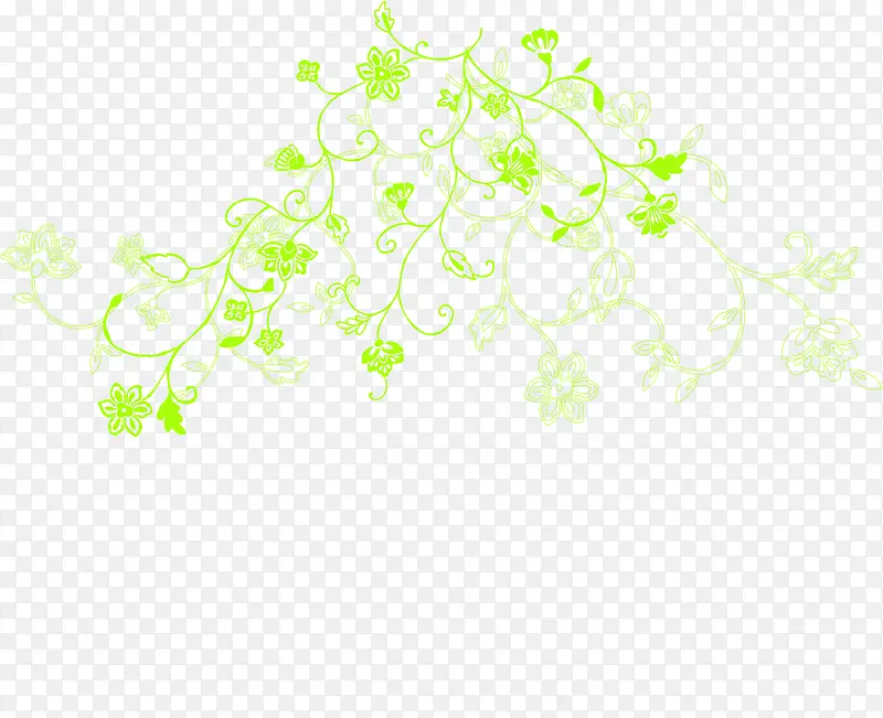 春天手绘植物绿叶藤蔓