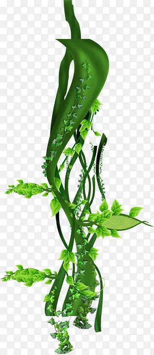 春天清新绿叶藤蔓植物