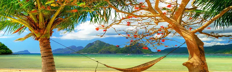 夏威夷风情淘宝海报背景