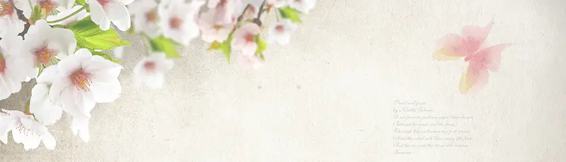 粉色唯美淘宝海报背景