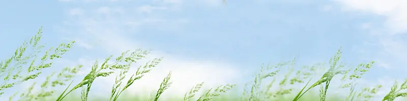 唯美简约大气淘宝海报背景