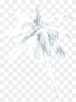 漫画椰子树淘宝海报