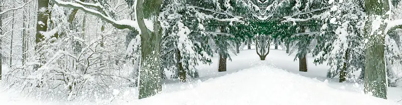 轮播背景海报banner