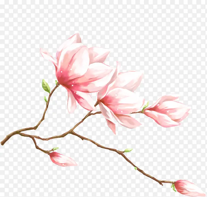 粉色唯美水彩桃花