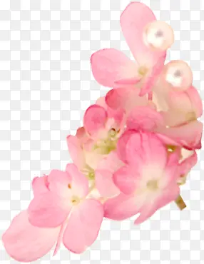 粉色唯美桃花