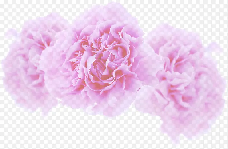 粉色淡雅唯美花朵装饰母亲节