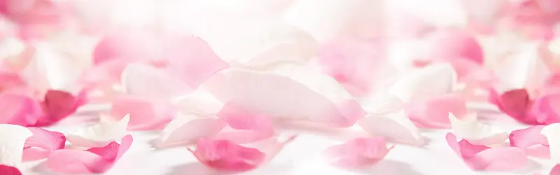 花朵背景