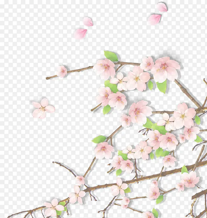 春季唯美粉色古典花朵