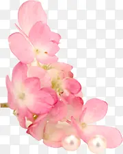 粉色唯美小花珍珠