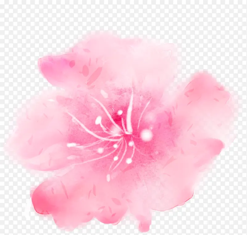 粉色花朵唯美