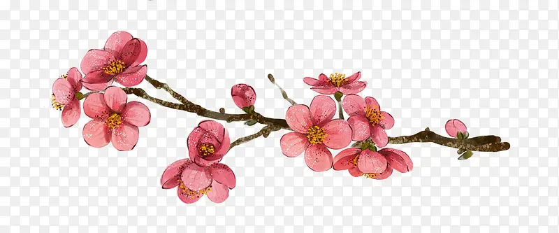 手绘粉色唯美桃花花枝