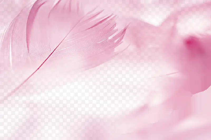 粉色唯美羽毛