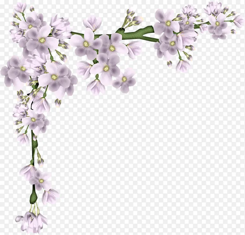 卡通手绘花朵装饰
