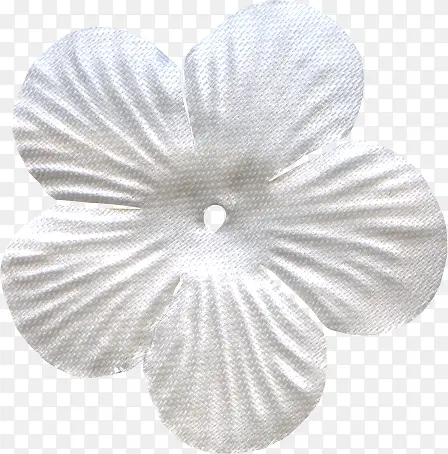 白色花瓣