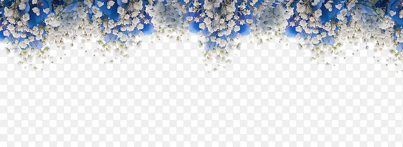 花卉