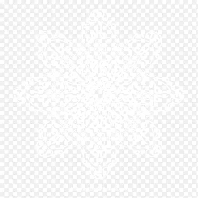 精美白色花纹矢量素材