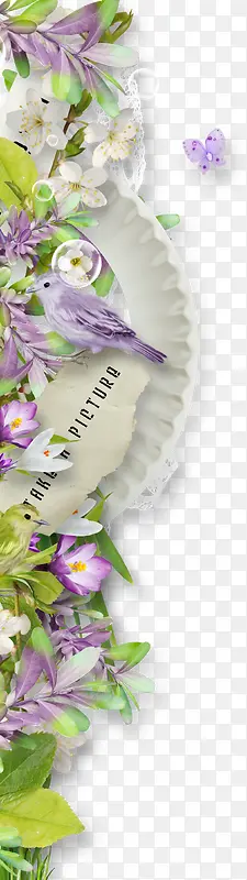 漂浮化蝶浪漫白色小花
