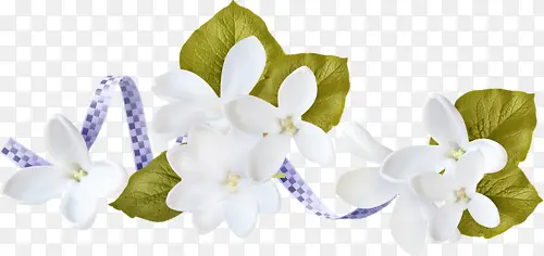 花纹边框