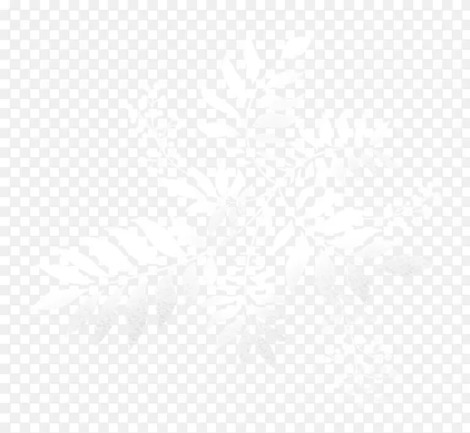 白色花纹