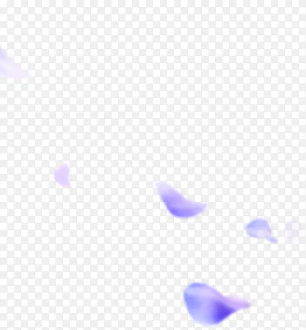 紫色花瓣装饰图案