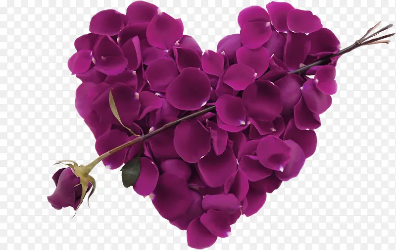 紫色梦幻爱心花瓣装饰图案