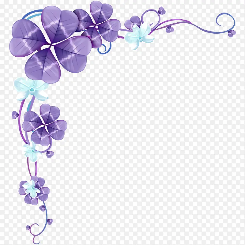 紫色花朵