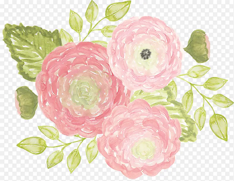 手绘玫瑰装饰花朵