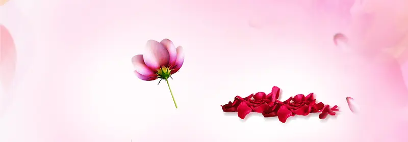 护肤品花瓣唯美背景banner