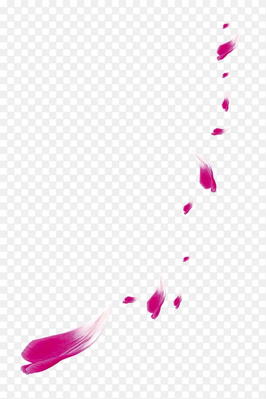红色花瓣漂浮